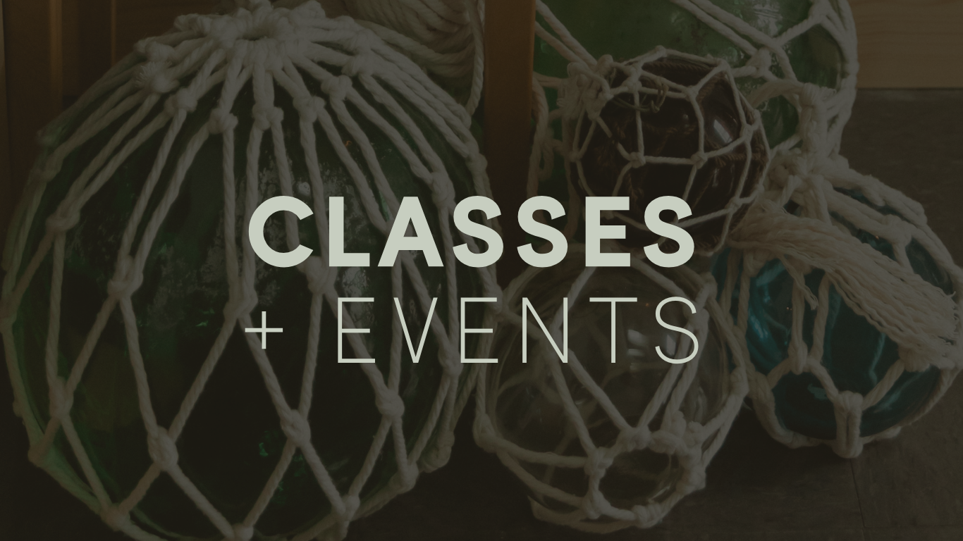 Your Paragraph Text 15