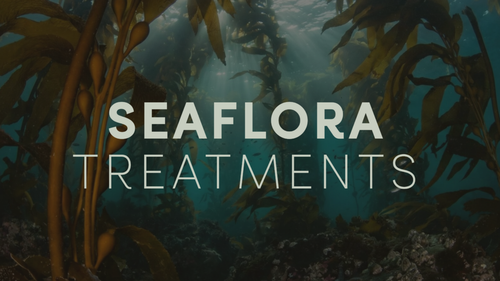 Services Kelp Banners 20260218 161620 0000 1024x576