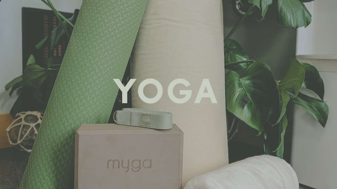 kelp banners 20260424 170506 0000