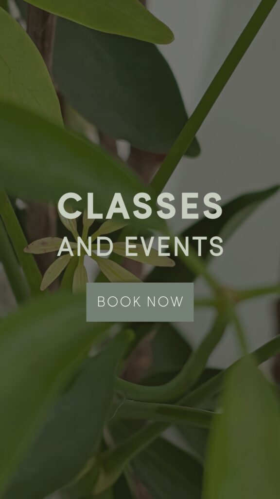 smoothies 20260427 120012 0000