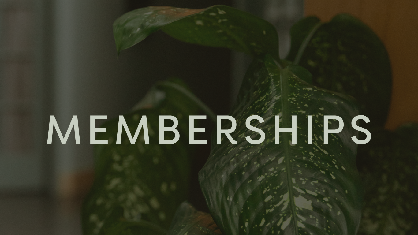 Memberships kelp banners